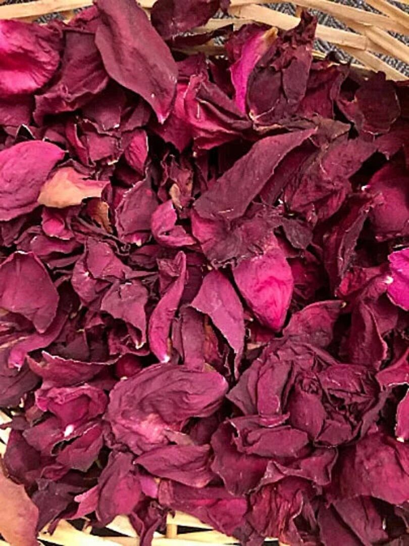 Ahmina - Power & Arrival